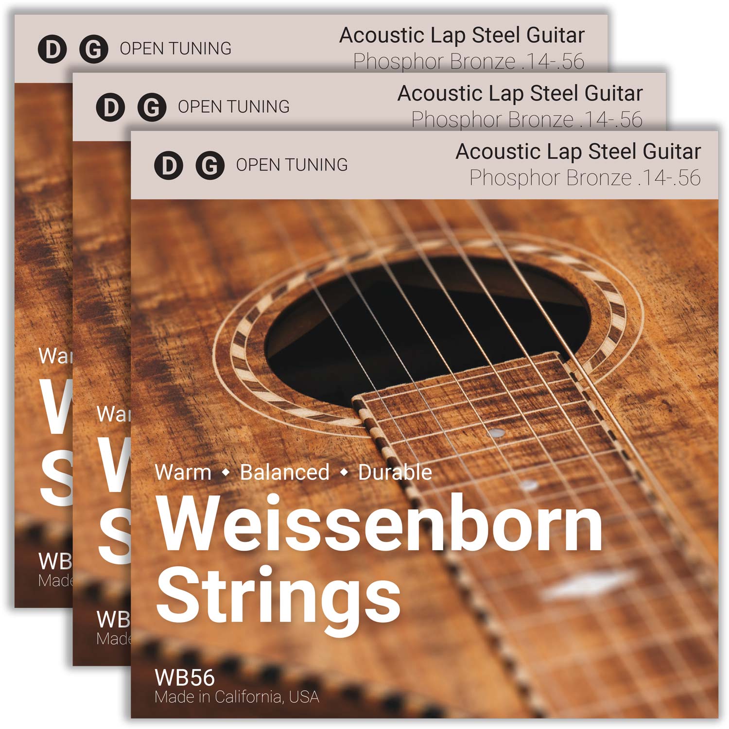 Weissenborn Strings Open D and Open G Acoustic Lap Steel Guitar Strings WB56