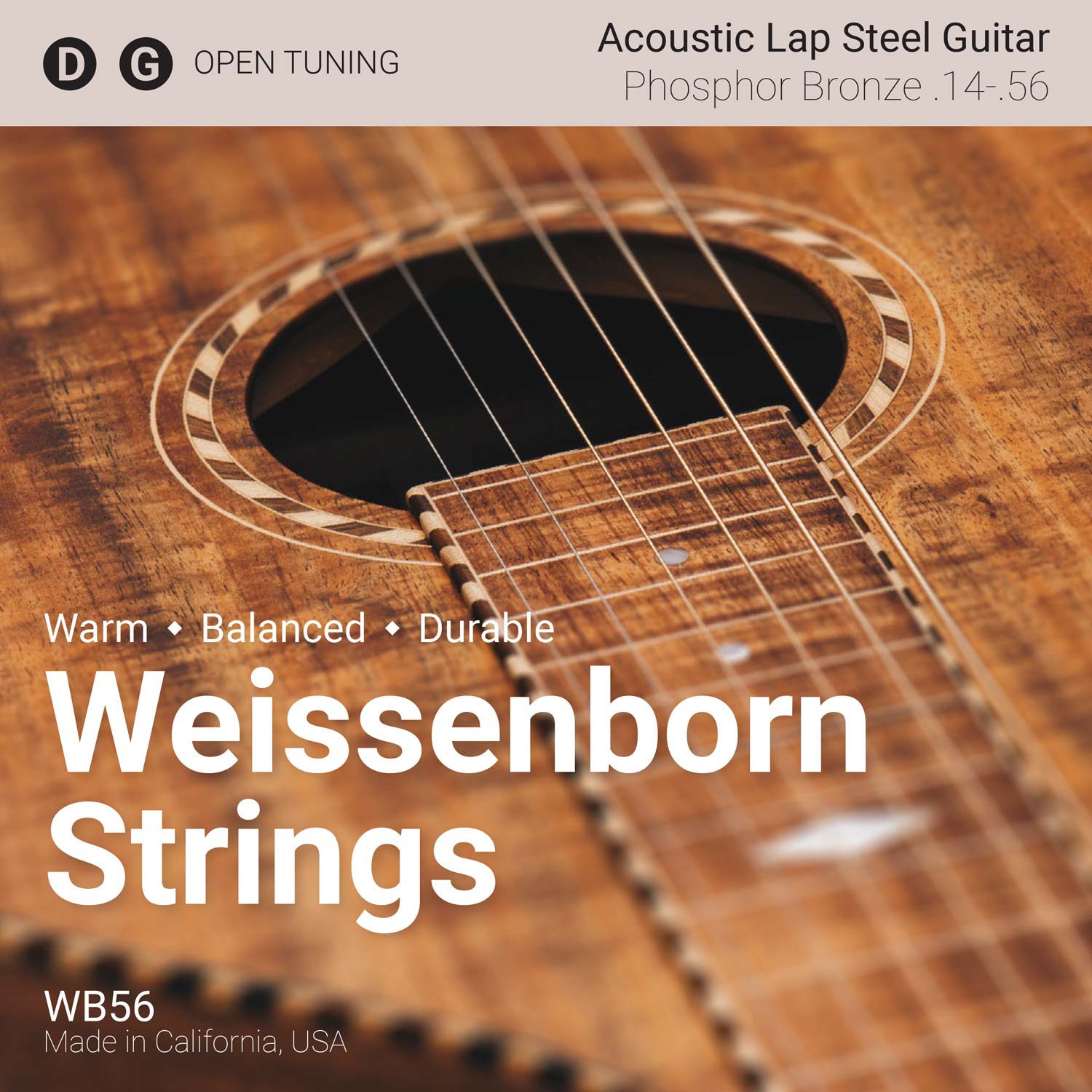 Weissenborn Strings - Open D and Open G Acoustic Lap Steel Guitar Strings - WB56