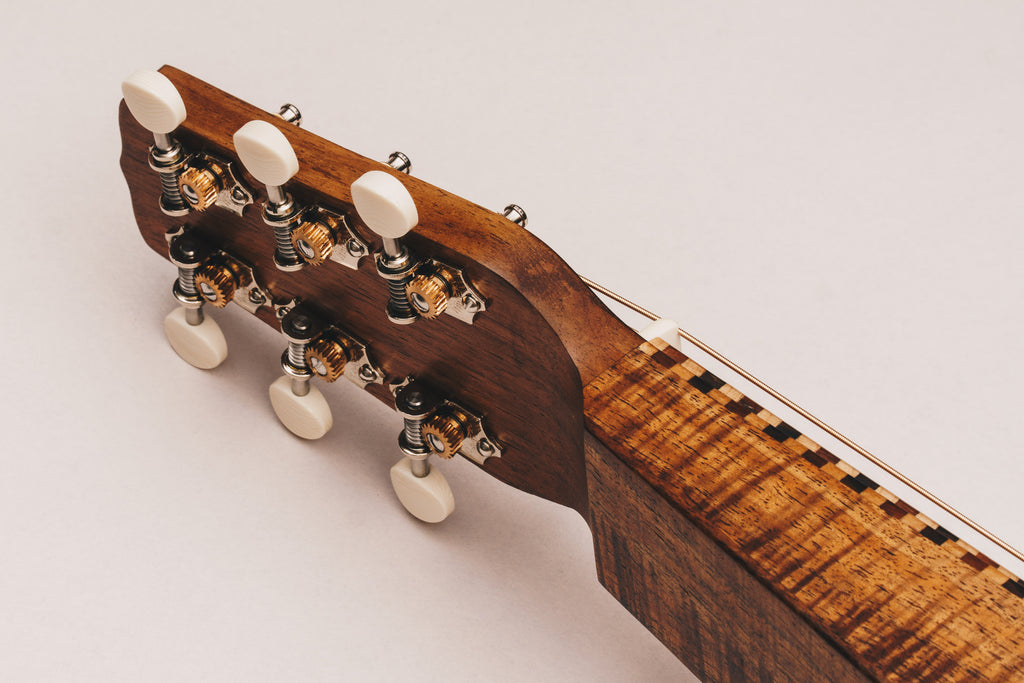 Style 3 Weissenborn Guitar - Master Series Weissenborn Acoustic Lap Steel Slide Guitar by master luthier Richard Wilson. Handcrafted in Australia. Serial no. RW2219-349.